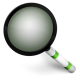 Magnifier Green Icon 80x80 png